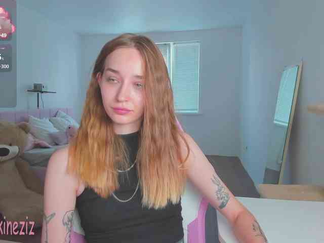 Polikinesis webcam