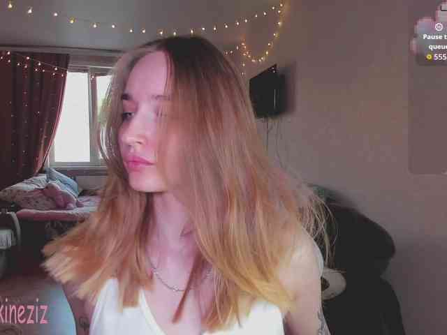 Polikinesis webcam