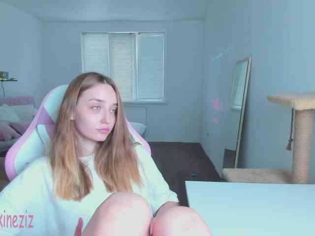 Polikinesis webcam
