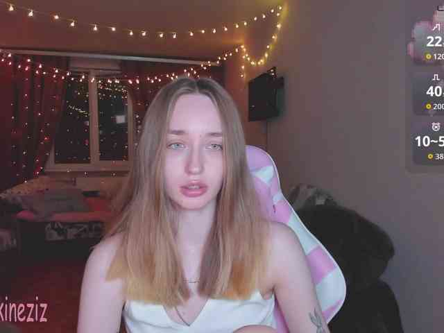 Polikinesis webcam
