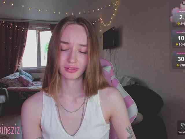 Polikinesis webcam