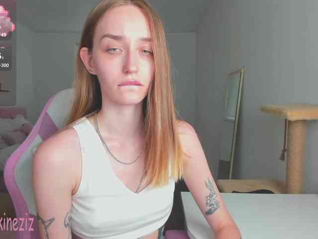 Polikinesis webcam