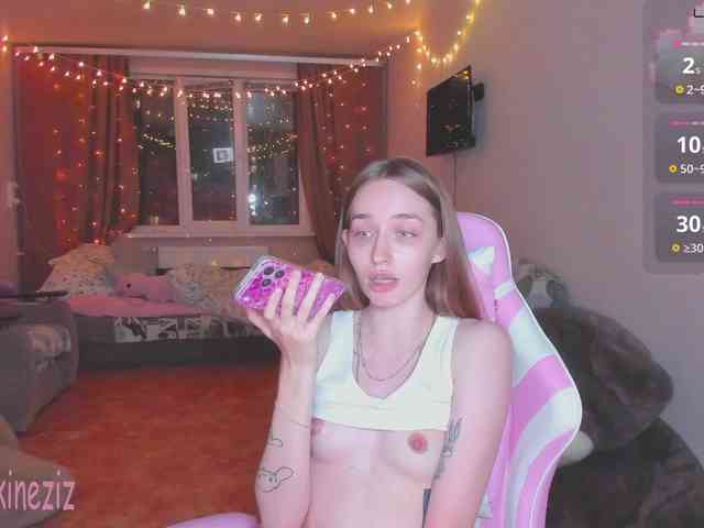 Polikinesis webcam
