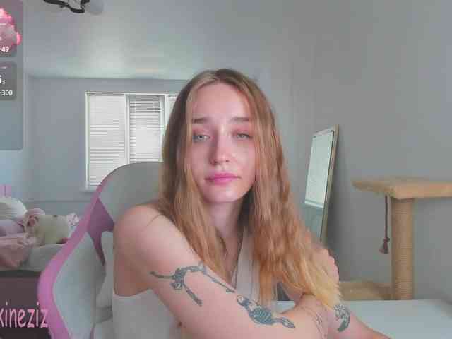 Polikinesis webcam