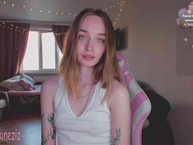Polikinesis webcam