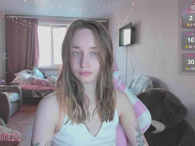 Polikinesis webcam