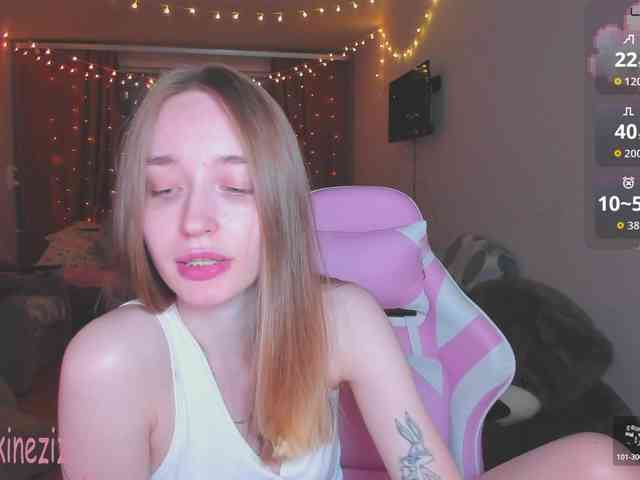Polikinesis webcam