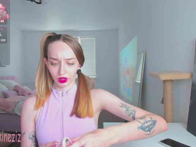 Polikinesis webcam