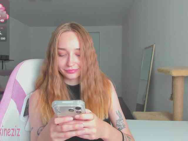 Polikinesis webcam