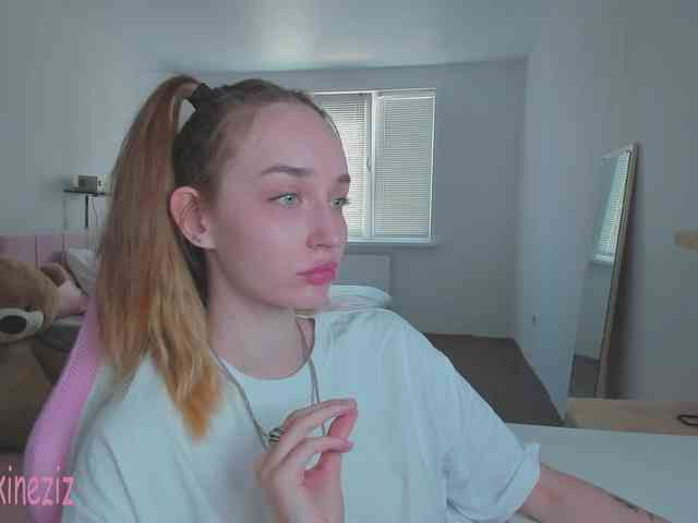 Polikinesis webcam