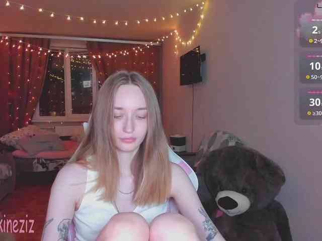 Polikinesis webcam