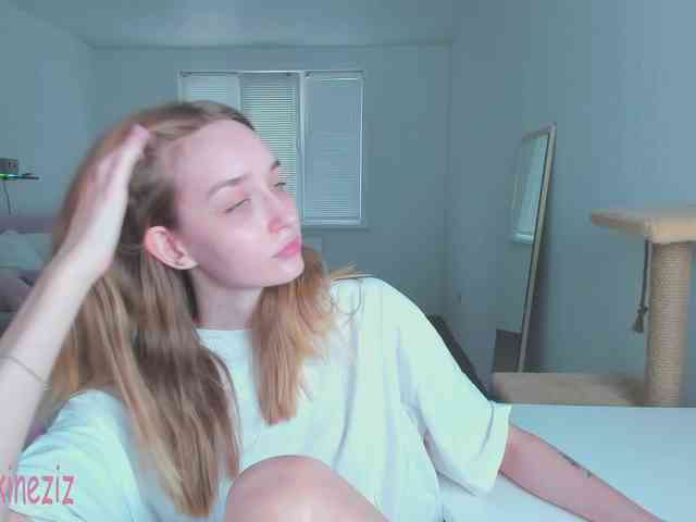 Polikinesis webcam