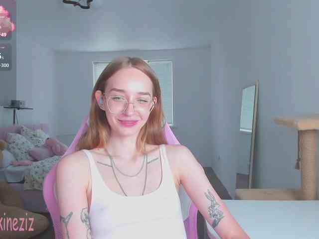 Polikinesis webcam