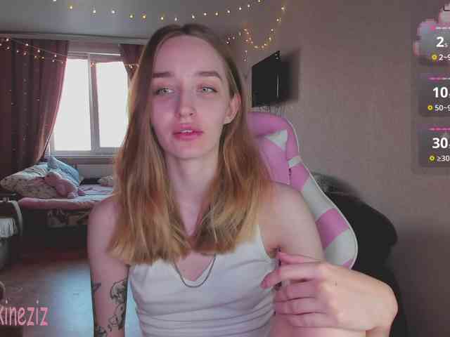Polikinesis webcam