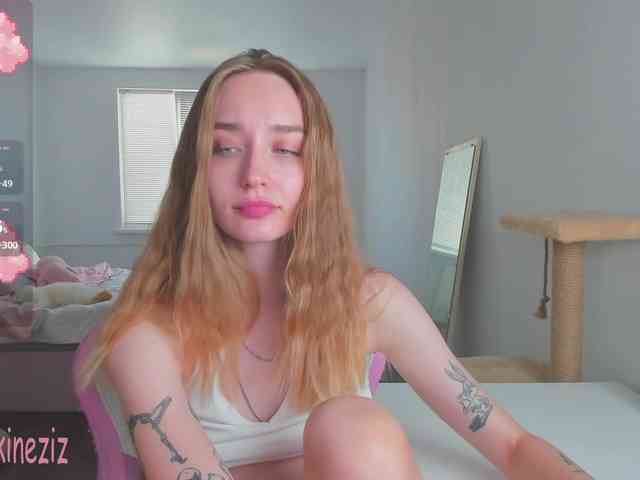 Polikinesis webcam