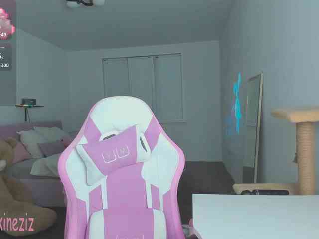 Polikinesis webcam