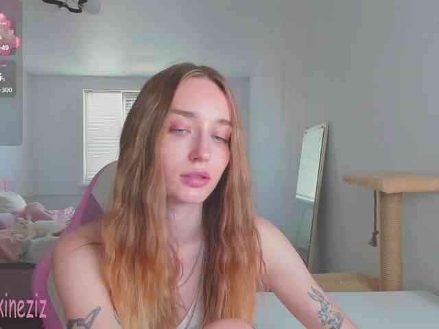 Polikinesis webcam