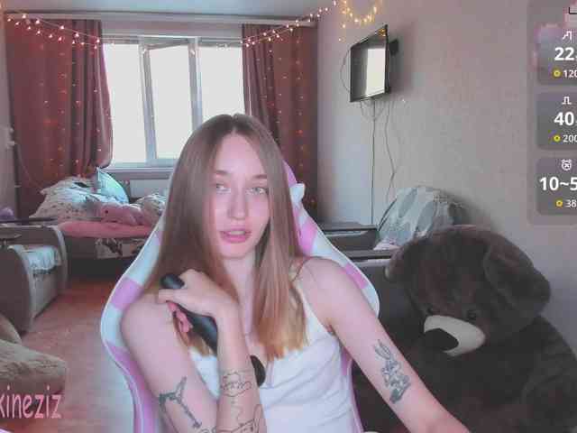 Polikinesis webcam