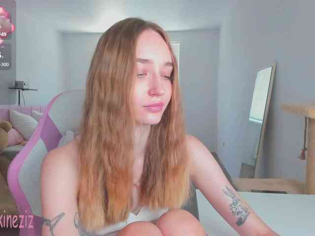 Polikinesis webcam