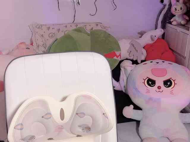Sralet20 webcam