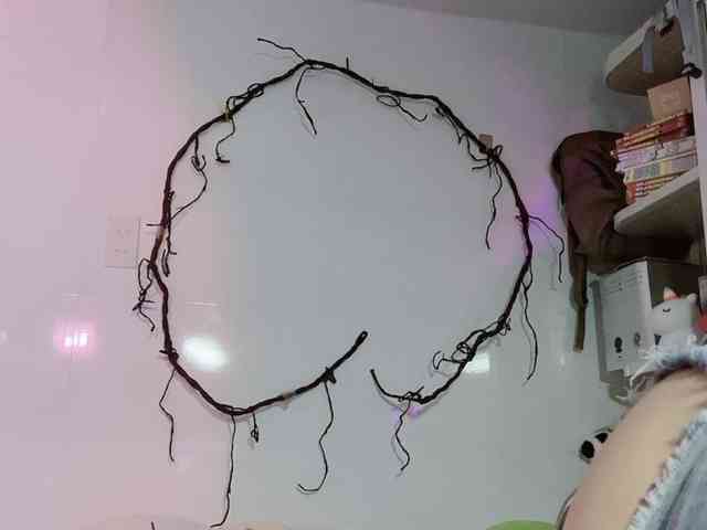 Sralet20 webcam
