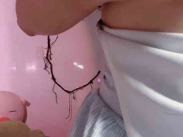 Sralet20 webcam