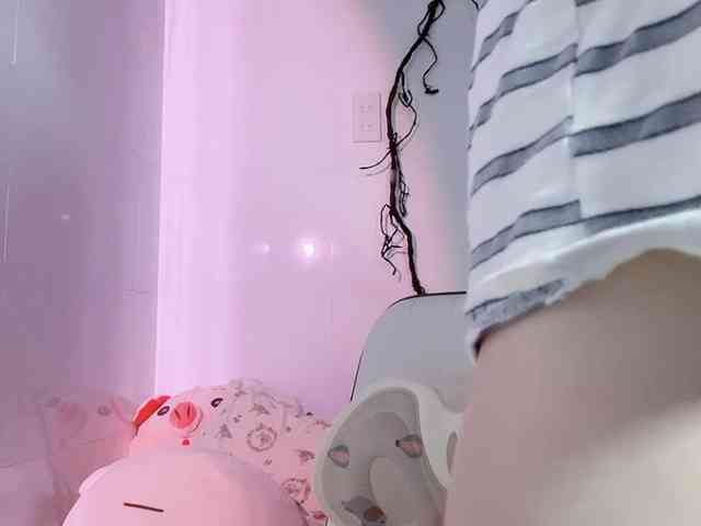Sralet20 webcam
