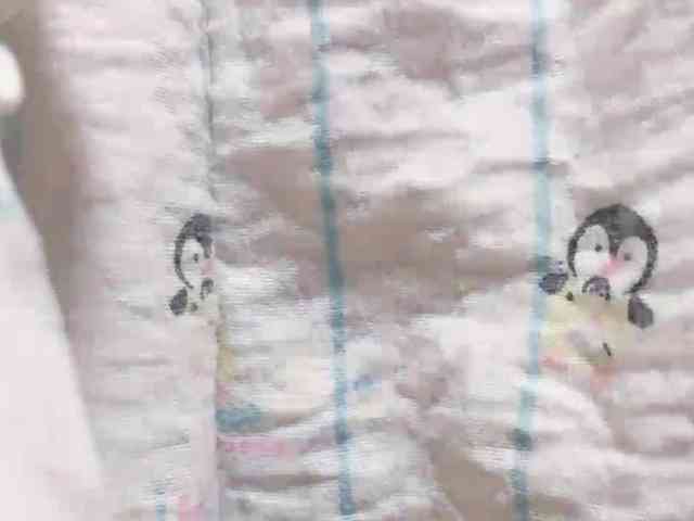 Sralet20 webcam
