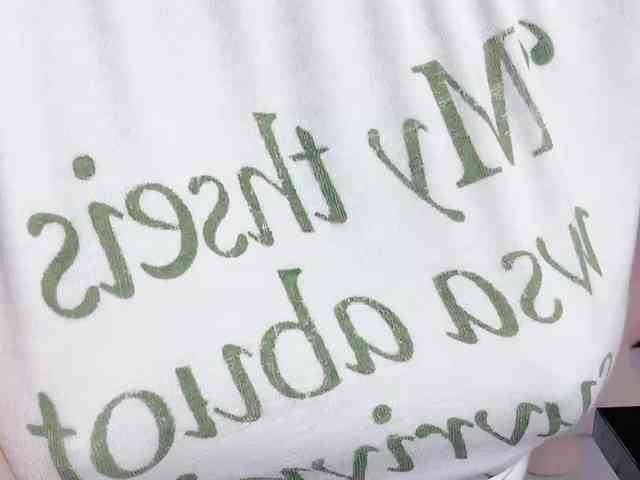 Sralet20 webcam
