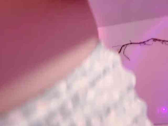 Sralet20 webcam
