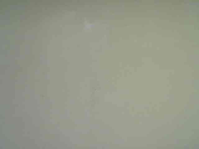 Cute-nina webcam