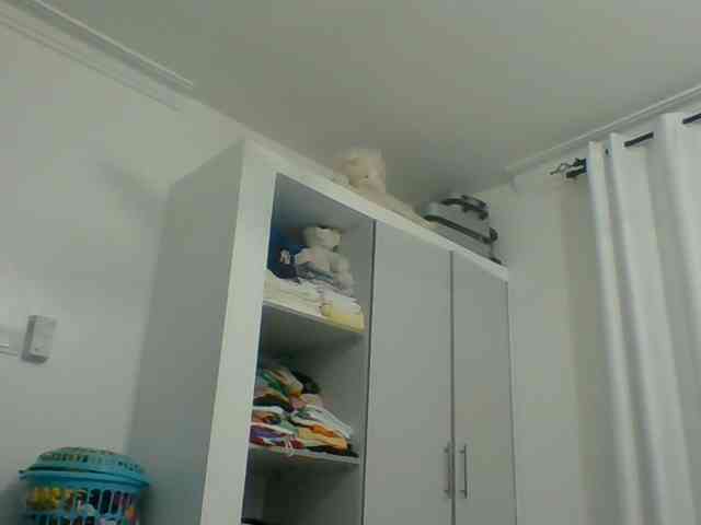 Poppy-51 webcam