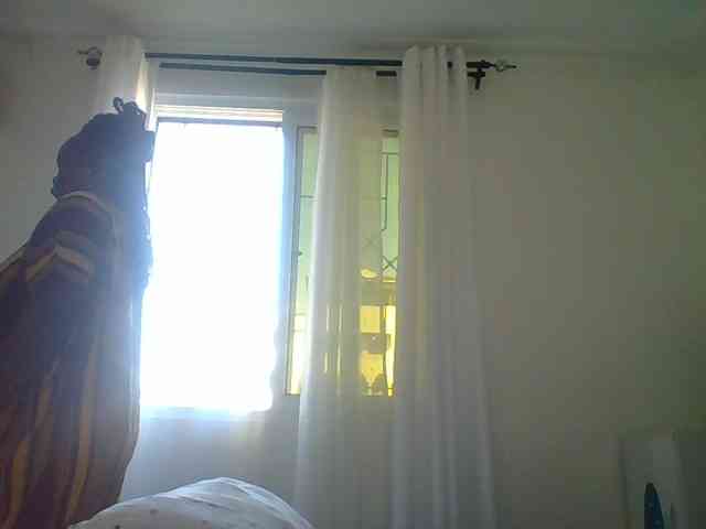Poppy-51 webcam