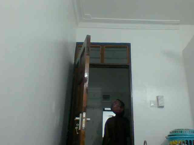 Poppy-51 webcam