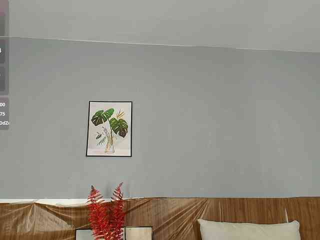 EmiliBonie webcam