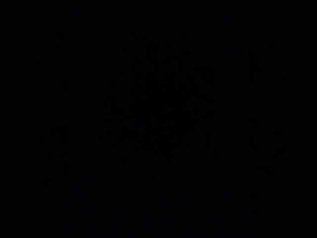 _Alexs-And-Kriiss_