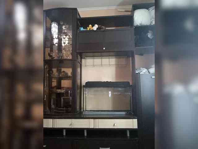Maxi228a