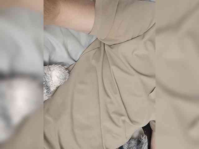 Maxi228a