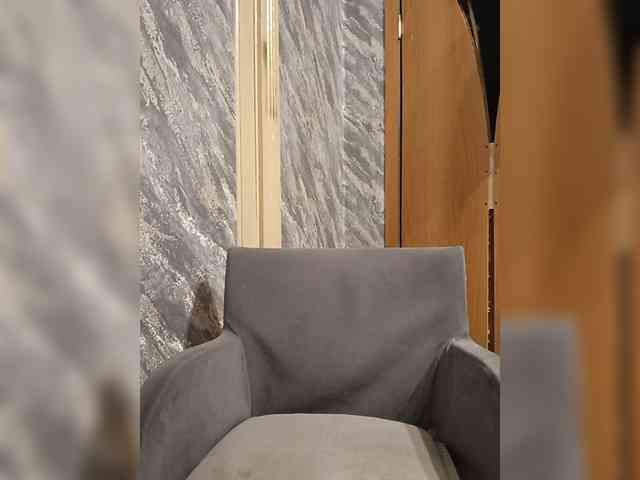 Maxi228a