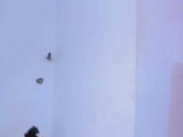 salma-isawwi live cam on BongaCams