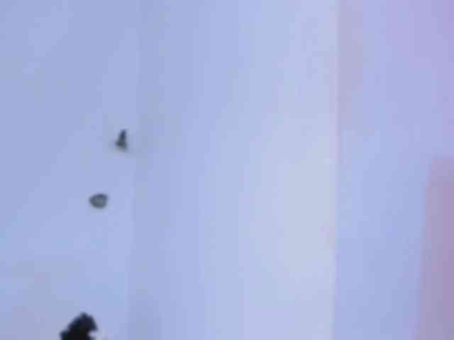 salma-isawwi Live Webcam on BongaCams