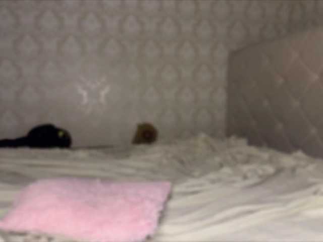 Lola-li live cam on BongaCams