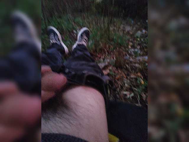 Shpalerr1