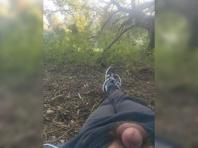Shpalerr1