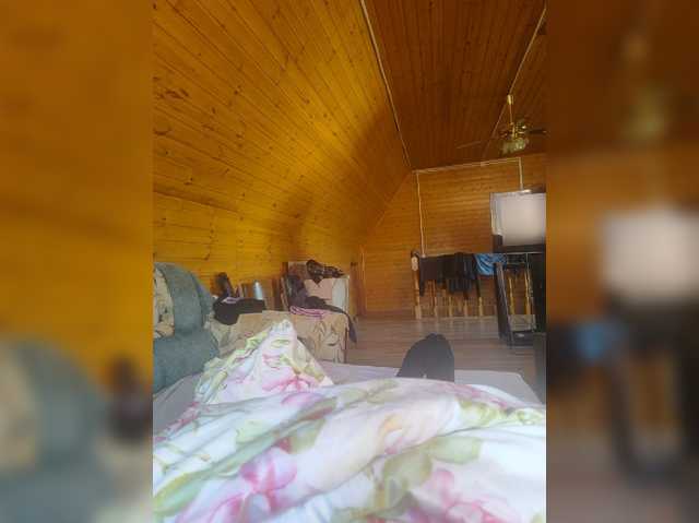 Shpalerr1
