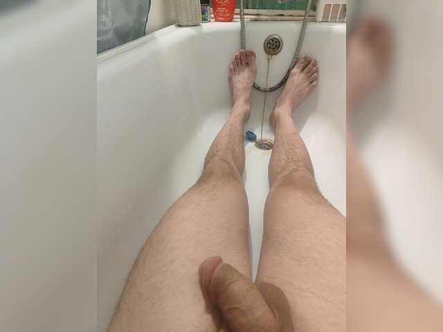 Shpalerr1