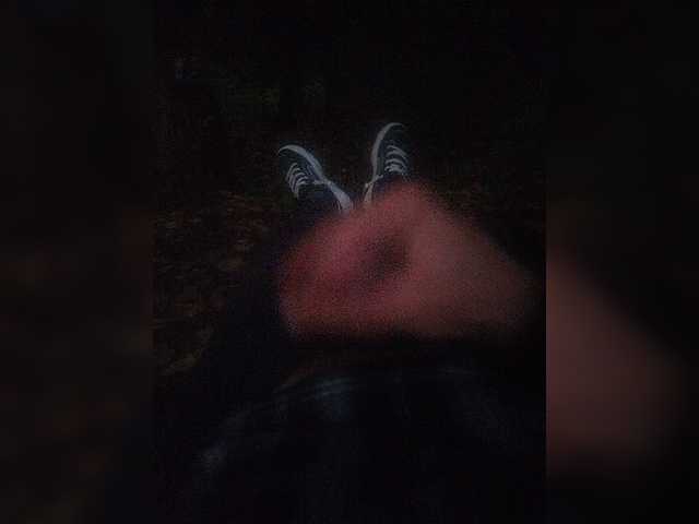 Shpalerr1
