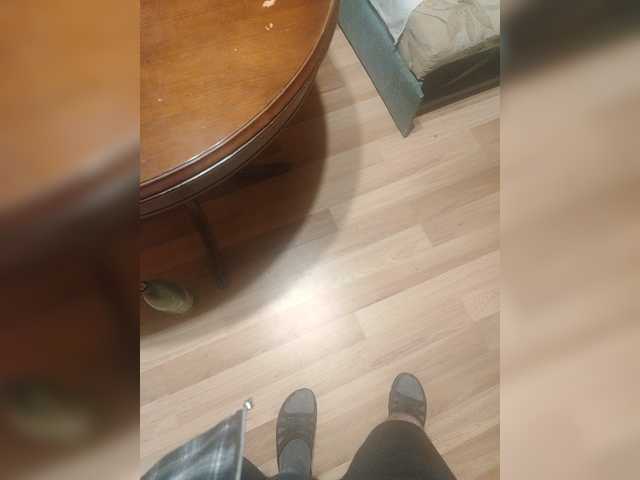 Shpalerr1