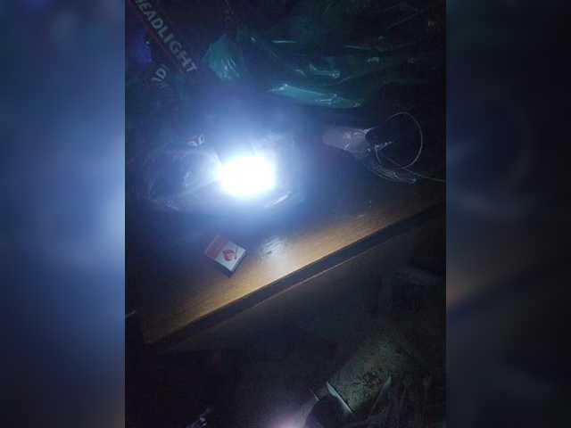 Shpalerr1