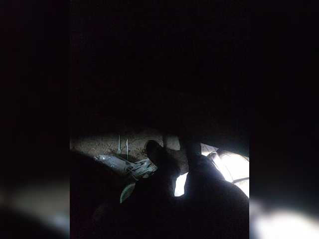 Shpalerr1
